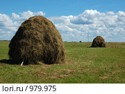 Cтога сена. Стоковое фото, фотограф Виктор Сагайдашин / Фотобанк Лори
