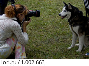 Женщина фотографирует собаку. Стоковое фото, фотограф Влад Нордвинг / Фотобанк Лори