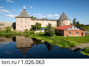 Вид на крепость. Старая Ладога - первая столица Руси. Река Ладожка (2009 год). Редакционное фото, фотограф Александр Алексеев / Фотобанк Лори