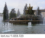 Фонтан "Каменный цветок" на ВВЦ (2008 год). Редакционное фото, фотограф lana1501 / Фотобанк Лори
