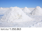 Солончак Уюни ( Salar de Uyuni ) (2009 год). Стоковое фото, фотограф Кирилл Трифонов / Фотобанк Лори