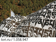 Надписи на камнях (2008 год). Стоковое фото, фотограф Туркин Владимир / Фотобанк Лори