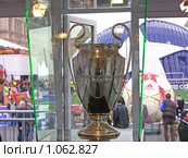 Кубок Лиги чемпионов УЕФА на Красной площади в Москве (2008 год). Редакционное фото, фотограф lana1501 / Фотобанк Лори