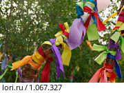 Ямал. Разноцветные ритуальные ленты на священном дереве (2009 год). Стоковое фото, фотограф Знаменский Олег / Фотобанк Лори