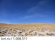 Альтиплано (2009 год). Стоковое фото, фотограф Кирилл Трифонов / Фотобанк Лори