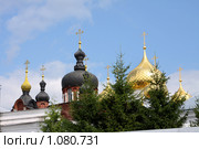 Купола Старого и Нового Богоявленского собора. Богоявленско Анастасиин монастырь г. Кострома. Стоковое фото, фотограф ElenArt / Фотобанк Лори