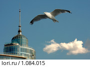 Выше облаков (2009 год). Стоковое фото, фотограф Владимир Трифонов / Фотобанк Лори