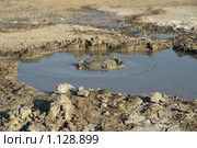 Грязевой вулканчик. Булганакское поле. Керченский полуостров, Крым. (2006 год). Стоковое фото, фотограф Ирина Кожемякина / Фотобанк Лори