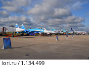Авиасалон МАКС-2009. Су-24, Су-27. Редакционное фото, фотограф Алёшина Оксана / Фотобанк Лори