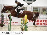 Кубок мэра Москвы по конкуру и выездке 2009. М. Бибикова на лошади по кличке Орхидея. Редакционное фото, фотограф Устинова Мария / Фотобанк Лори