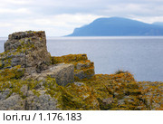 Прибрежная скала на побережье острова Кунашир. Курилы (2009 год). Редакционное фото, фотограф RedTC / Фотобанк Лори