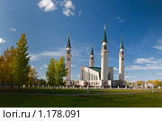 Панорама соборной мечети, г. Нижнекамск (2009 год). Стоковое фото, фотограф Кучкаев Марат / Фотобанк Лори