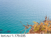 Водная поверхность. Стоковое фото, фотограф Юрий Брыкайло / Фотобанк Лори