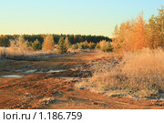 Осенняя дорога. Стоковое фото, фотограф Аврам / Фотобанк Лори