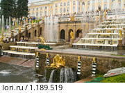 Петергоф. Фонтанный ансамбль "Большой каскад" в нижнем парке (2009 год). Редакционное фото, фотограф Александр Лядов / Фотобанк Лори