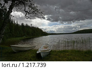 Перед дождем. Стоковое фото, фотограф Валерия Попова / Фотобанк Лори