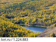 Осенний лес. Редакционное фото, фотограф Николай Михальченко / Фотобанк Лори