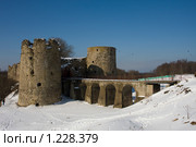 Крепость Копорье (2009 год). Стоковое фото, фотограф Литвяк Игорь / Фотобанк Лори
