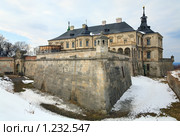 Замок, весна (село Подгорцы, Львовская область, Украина) (2009 год). Стоковое фото, фотограф Юрий Брыкайло / Фотобанк Лори