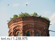 Костромская  область,Сидоровское. Крыша храма. (2008 год). Стоковое фото, фотограф Лада Иванова / Фотобанк Лори