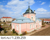 Замок (Золочивский район, Львовская область, Украина) Стоковое фото, фотограф Юрий Брыкайло / Фотобанк Лори