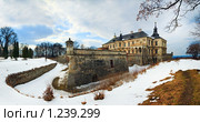 Замок ,весна, панорама (село Подгорцы, Львовская область, Украина) Стоковое фото, фотограф Юрий Брыкайло / Фотобанк Лори