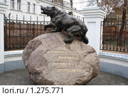Символ города - Медведь. Ярославль. (2009 год). Редакционное фото, фотограф Антон Корнилов / Фотобанк Лори