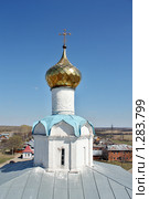 Купол храма в Суздале (2009 год). Стоковое фото, фотограф Ирина Золина / Фотобанк Лори