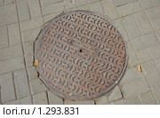 Люк колодца (2009 год). Стоковое фото, фотограф lana1501 / Фотобанк Лори