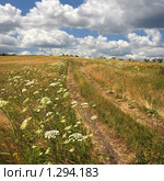 Степная дорога. Стоковое фото, фотограф Ляпин Алексей Геннадьевич / Фотобанк Лори