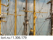 Мачты парусников. Санкт-Петербург (2009 год). Стоковое фото, фотограф Александр Алексеев / Фотобанк Лори