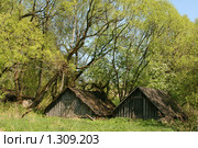 Погреба. Стоковое фото, фотограф Щеголева Ольга / Фотобанк Лори