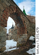 Замок в селе Подгорцы, Львовская область, Украина (2009 год). Стоковое фото, фотограф Юрий Брыкайло / Фотобанк Лори