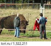 Деревенская школа тореадоров (2007 год). Редакционное фото, фотограф Тарановский Д. / Фотобанк Лори