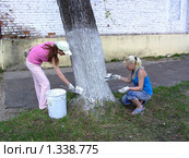 Побелка деревьев в Профессиональном училище (2009 год). Редакционное фото, фотограф Юрий Зуев / Фотобанк Лори