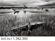 Сельский пейзаж (2008 год). Редакционное фото, фотограф Владимир Блинов / Фотобанк Лори
