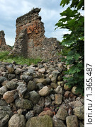Руины замка в Крево, Беларусь (2008 год). Стоковое фото, фотограф Владимир Блинов / Фотобанк Лори