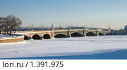 Троицкий мост через реку Неву (2010 год). Стоковое фото, фотограф Ольга Визави / Фотобанк Лори