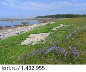Берег Белого моря на Соловках. Стоковое фото, фотограф Т. З. / Фотобанк Лори