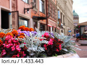 Питер в цветах (2009 год). Стоковое фото, фотограф Михаил Митин / Фотобанк Лори