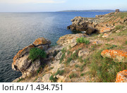 Берег моря. Стоковое фото, фотограф Юрий Брыкайло / Фотобанк Лори