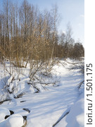 Замерзшая речушка. Стоковое фото, фотограф Кристина Викулова / Фотобанк Лори