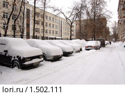 Белым пологом зима всё вокруг накрыла (2010 год). Редакционное фото, фотограф Елена Ильина / Фотобанк Лори