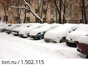 У машин выходной! (2010 год). Редакционное фото, фотограф Елена Ильина / Фотобанк Лори