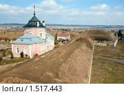 Замок (Золочивский район, Львовская область, Украина) (2009 год). Стоковое фото, фотограф Юрий Брыкайло / Фотобанк Лори