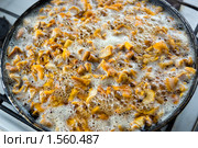 Грибы лисички кипят на сковородке. Стоковое фото, фотограф FotograFF / Фотобанк Лори
