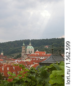 Вид Праги (2009 год). Стоковое фото, фотограф Анна Белова / Фотобанк Лори