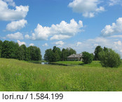 Летний пейзаж в Тригорском (Пушкинские Горы) (2009 год). Редакционное фото, фотограф Валентина Троль / Фотобанк Лори