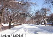 Зимняя аллея. Стоковое фото, фотограф Лукиянова Наталья / Фотобанк Лори