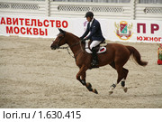 Хрустальное седло 2009. Маршрут 140 см. Владимир Туганов (Россия) на лошади по кличке Ап дю Плесси. Редакционное фото, фотограф Устинова Мария / Фотобанк Лори